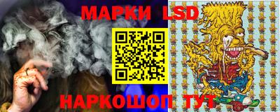 спиды Кингисепп