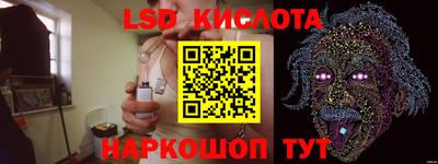 спиды Кингисепп
