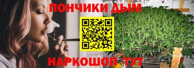 крисы Кандалакша