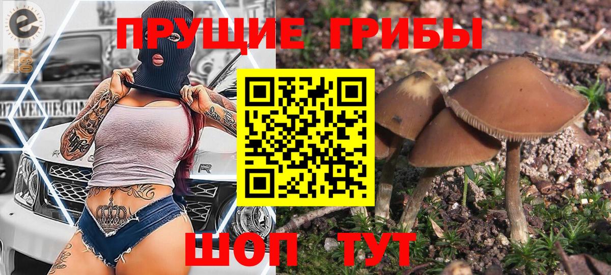 Марихуана Красный Сулин