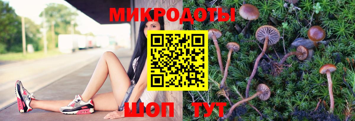 Псилоцибиновые грибы прущие грибы Красный Сулин